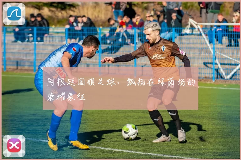 阿根廷国旗足球，飘扬在绿茵场的荣耀象征