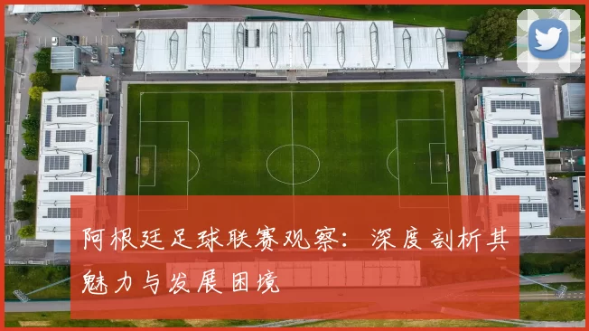 阿根廷足球联赛观察：深度剖析其魅力与发展困境