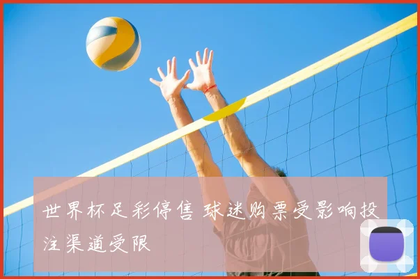世界杯足彩停售 球迷购票受影响投注渠道受限