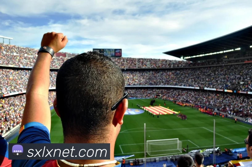 Kaiyun (中国官方网站) - 官方认证的服务平台服务体系